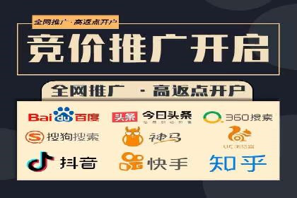 行业领先SEM托管代运营案例